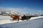 Winter Bild 11